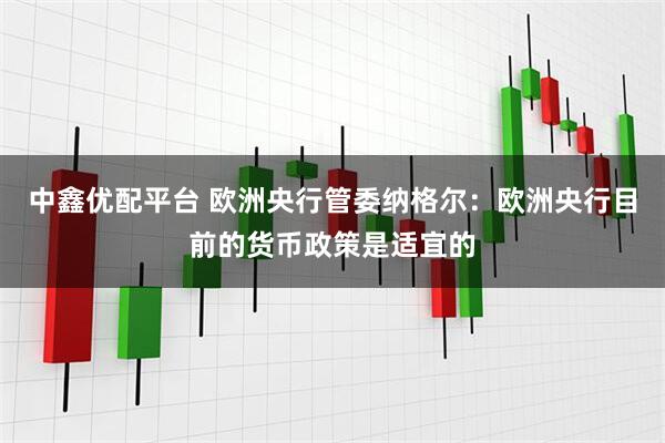 中鑫优配平台 欧洲央行管委纳格尔：欧洲央行目前的货币政策是适宜的