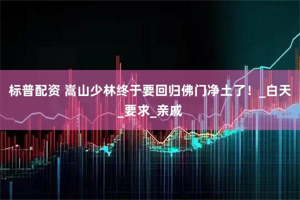 标普配资 嵩山少林终于要回归佛门净土了！_白天_要求_亲戚